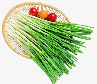 菜框中的大葱免抠