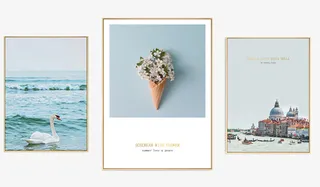 大海花朵装饰画实物免抠