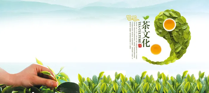 茶叶茶文化清新简约banner高清