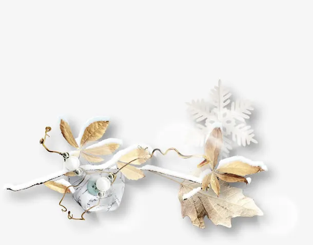 白雪枯叶免抠