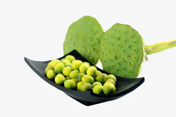 莲藕的果实莲蓬免抠