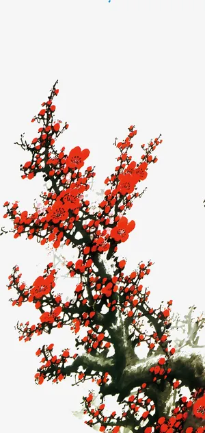 梅花免抠