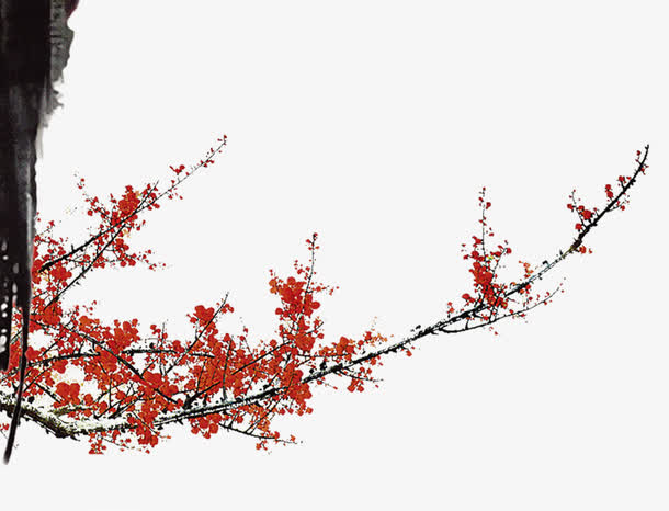 梅花免抠