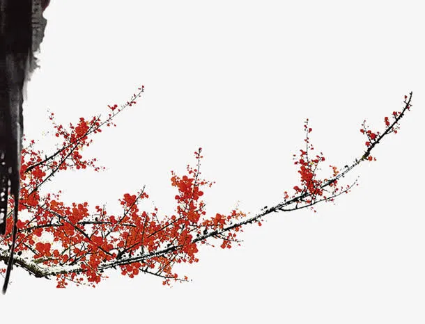梅花免抠