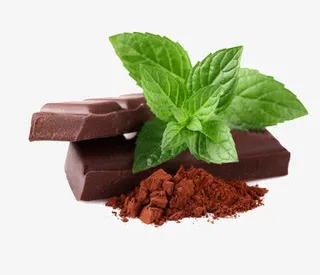 清凉的薄荷与巧克力免抠