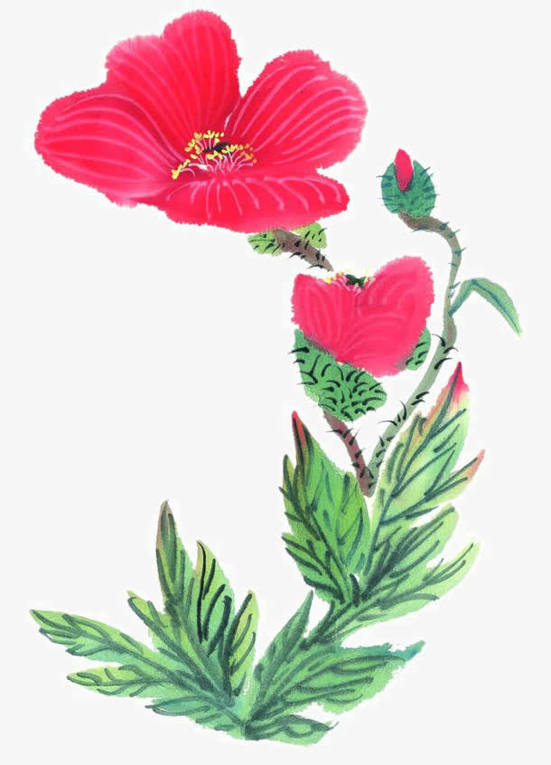 水墨花卉免抠