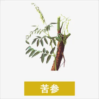 苦参免抠