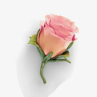 娇艳粉嫩玫瑰花免抠