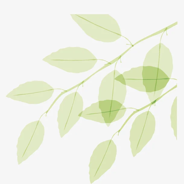 清新树叶树枝免抠