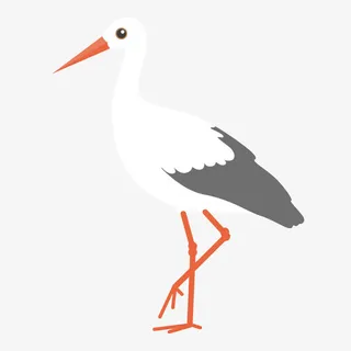 白色站立的白鹤免抠