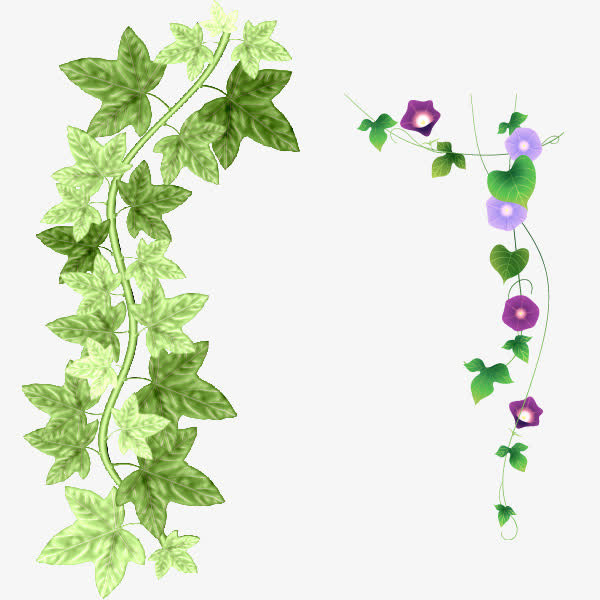 绿色植物素材免抠