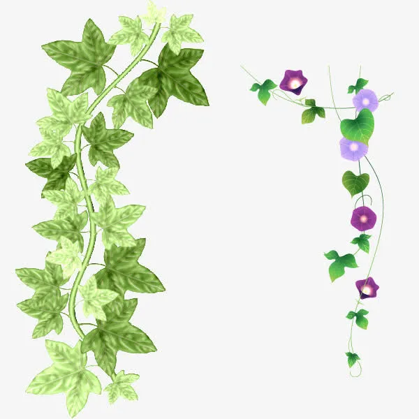 绿色植物素材免抠