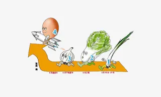 跟着我们节奏蔬菜价格上升免抠