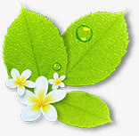 白色卡通鲜花植物免抠