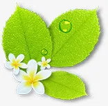 白色卡通鲜花植物免抠