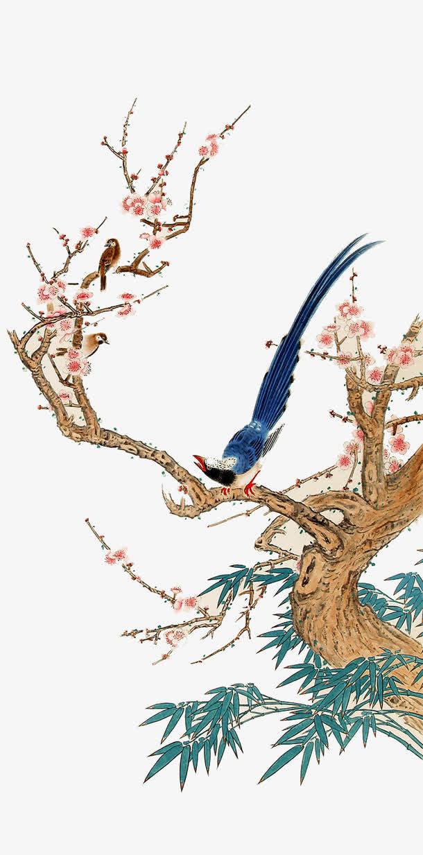 鸟在枝头免抠