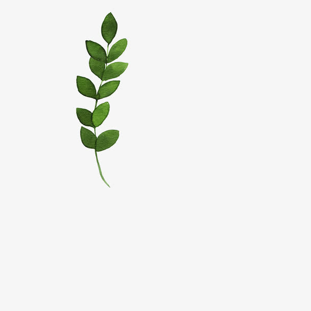 深绿色的树枝免抠