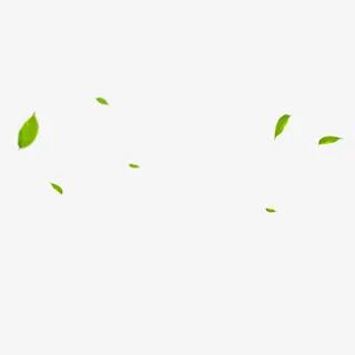漂浮绿叶免抠