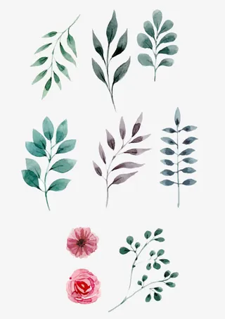 树叶鲜花合集免抠