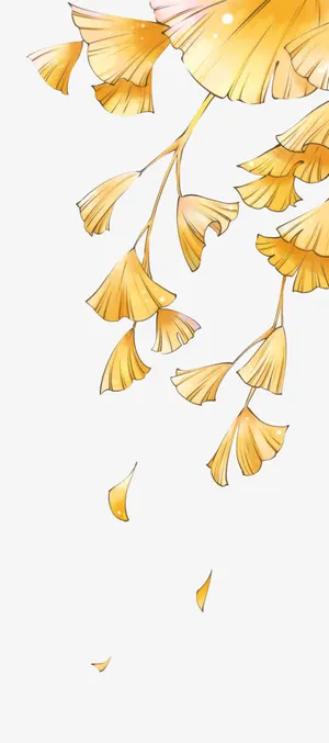 手绘花瓣png素材免抠