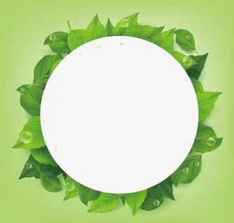 精美绿叶花纹边框设计免抠