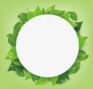 精美绿叶花纹边框设计免抠