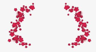 花朵漂浮元素免抠