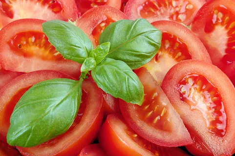 番茄特写精品照片高清