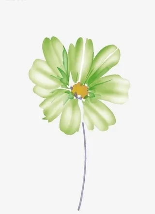 卡通手绘康乃馨免抠