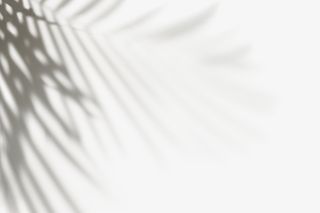 背景背景背景背景背景背景