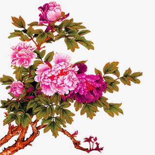 红色富贵花朵免抠