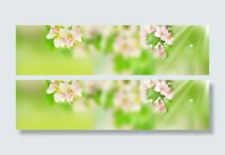 春天背景banner