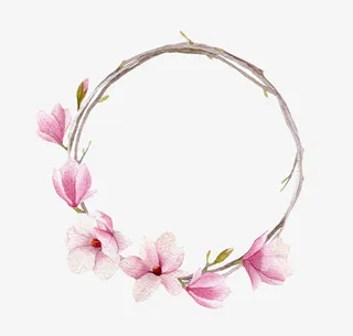 粉红色带香味在一边的玉兰花瓣实免抠