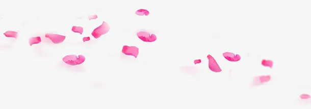 洋红色漂浮花瓣免抠