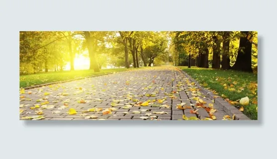 秋天落叶树林唯美背景banner免抠 秋天落叶树林唯美背景banner免抠