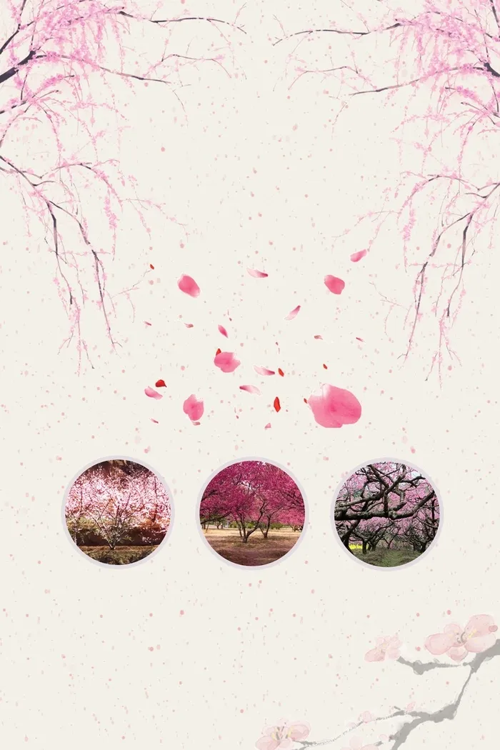 桃花樱花粉色花瓣飘落枝条晴朗唯美广告背景高清