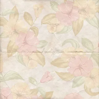 怀旧纸张花纹背景