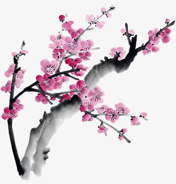 梅花免抠