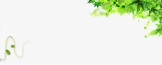 绿色枝条叶子免抠