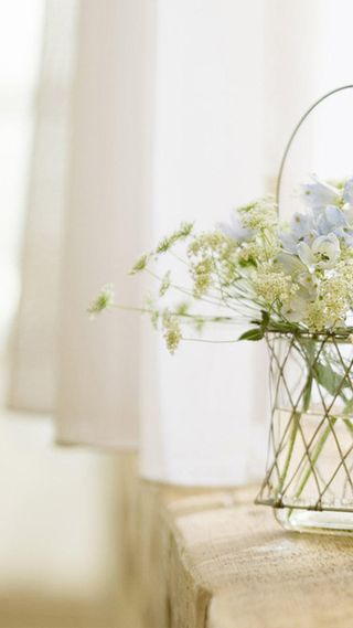 唯美小清新绿植H5高清