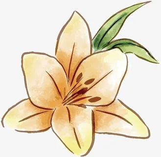 手绘春天黄色花朵免抠