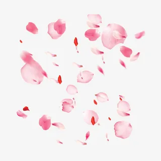粉色飘落樱花花瓣素材免抠