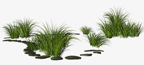 几簇小草png素材免抠