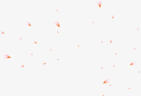 粉色艺术漂浮蒲公英设计免抠