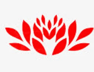 红色中国风花纹莲花免抠