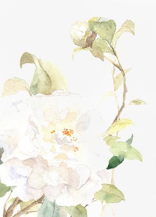 唯美古风水彩插画免抠