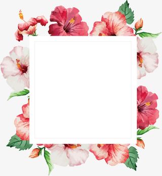大气红色花朵信件边框免抠
