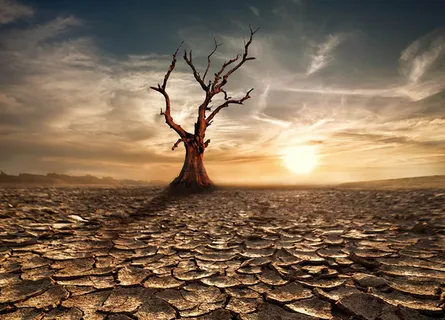 贫瘠孤寂凄凉背景