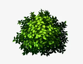 可用的漫画灌木PNG免抠