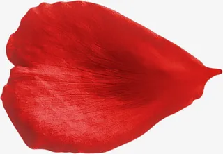 红色的桃心花瓣免抠